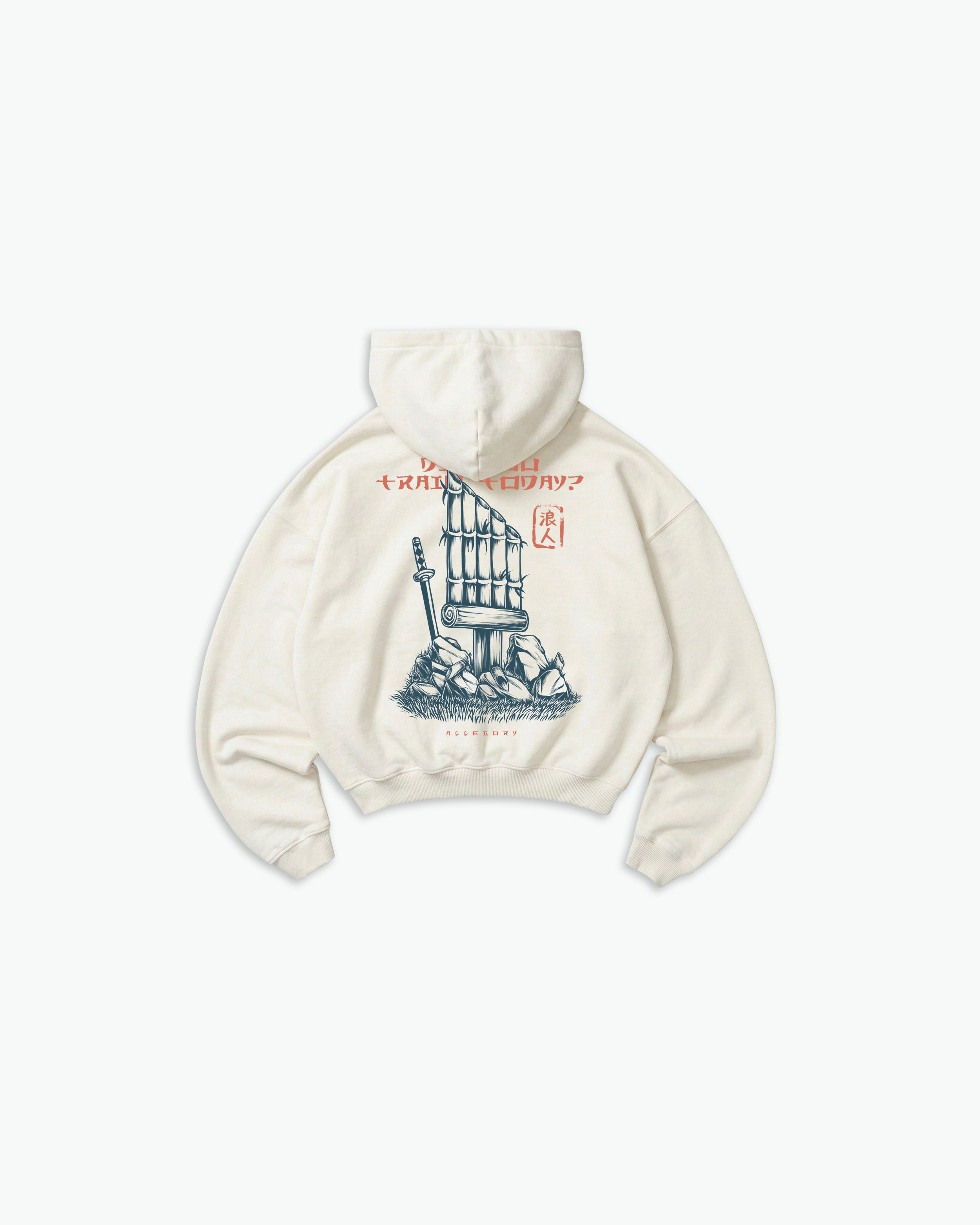 Did You Train Today Hoodie