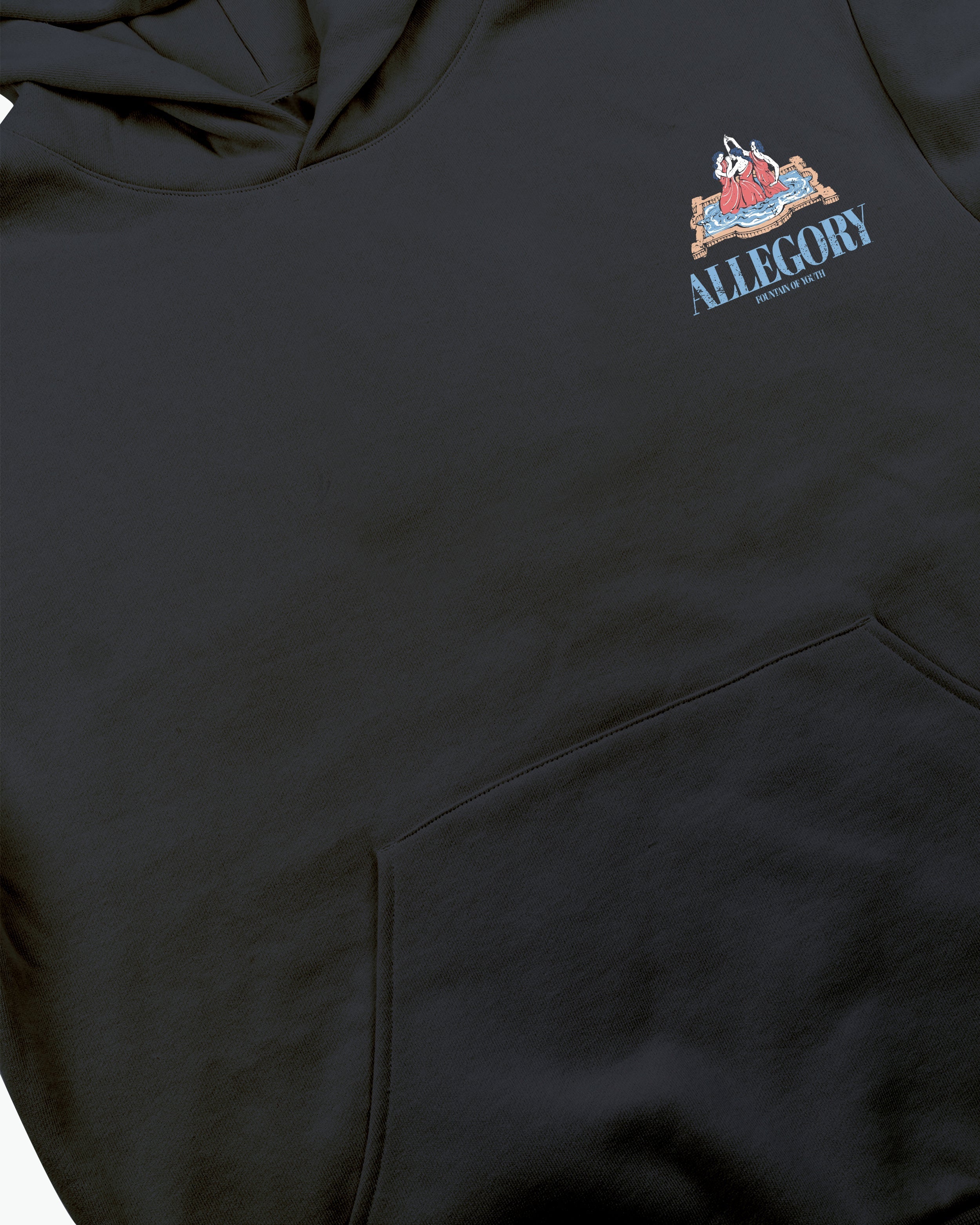 Fountain of Youth Hoodie / Charcoal-4